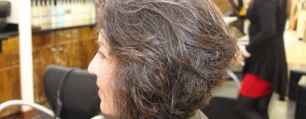 Gallery 4:  From Curly ...