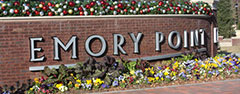 Emory Point